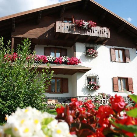 Chalet Stelvio 보르미오 외부 사진