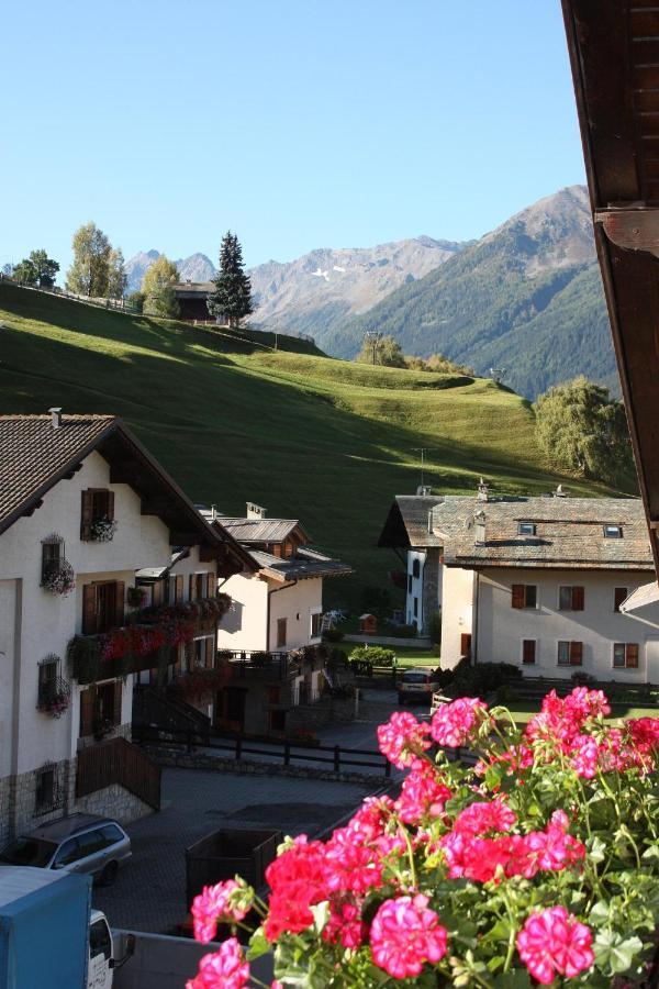 Chalet Stelvio 보르미오 외부 사진